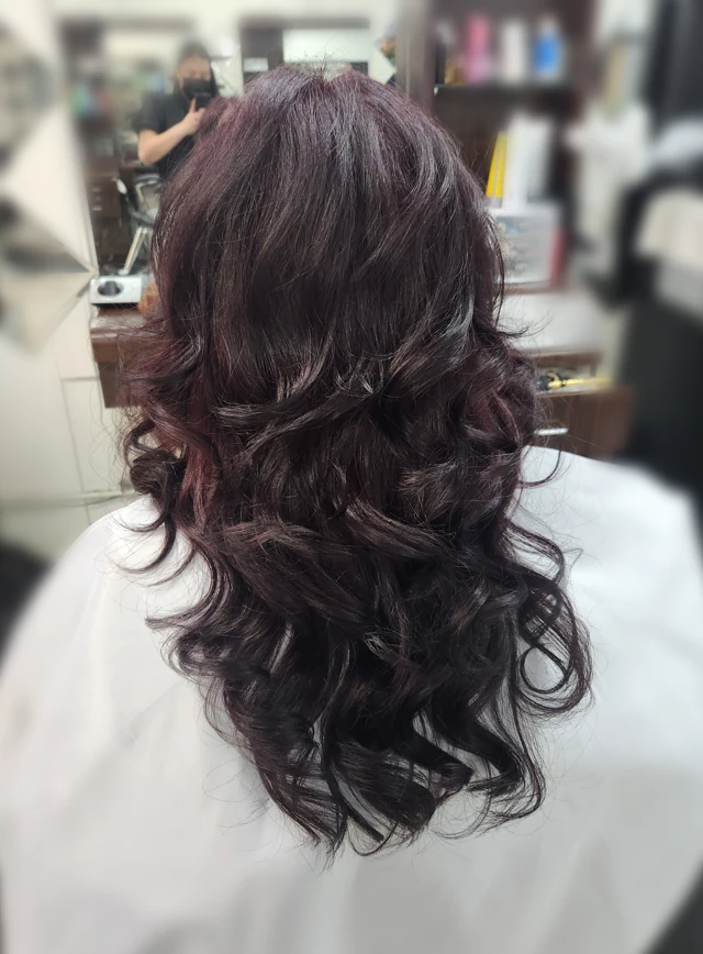 Dark brunette curls viewed from behind