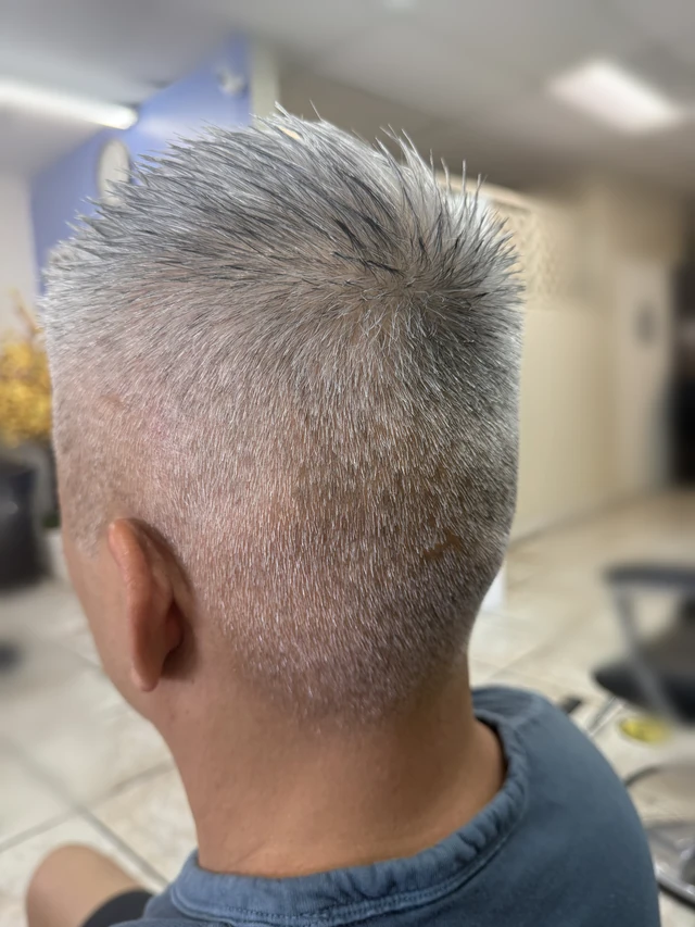 Short gray textured haircut with tapered sides and nape, viewed from the rear side.